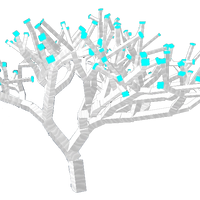 tree lumber