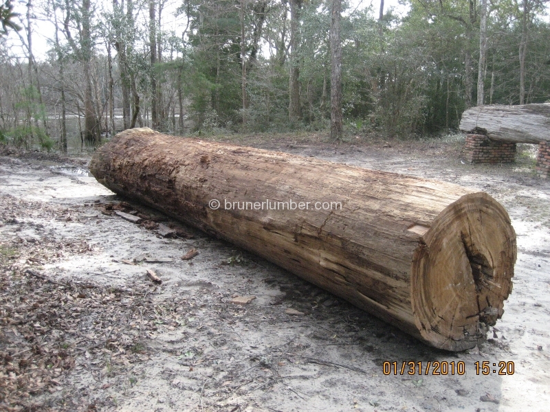 image sinker cypress log 010 jpg lumber tycoon 2 wikia fandom