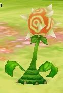 Ghost flower