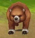 Brown bear