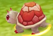 High turtle
