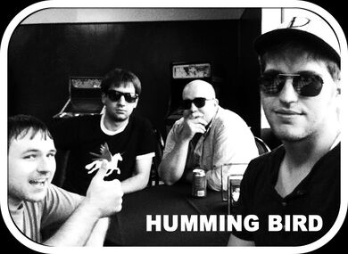 Humming Bird