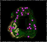 Map - Confusion Swamp