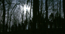 Zombie Road