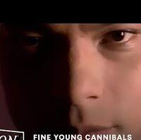 She Drives Me Crazy Fine Young Cannibals Music Video Wiki Fandom