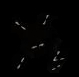Flies (inventory)