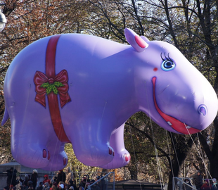 Thanksgiving parade people