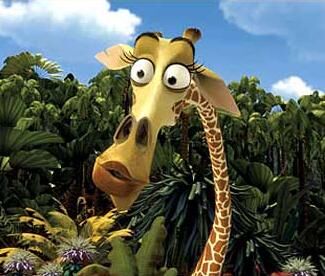 Melman | Madagascar-Wiki | Fandom