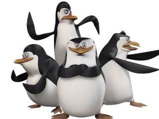 Die pinguine aus madagascar