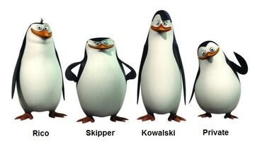 Pinguine Von Madagaskar Pinguine Von Madagaskar