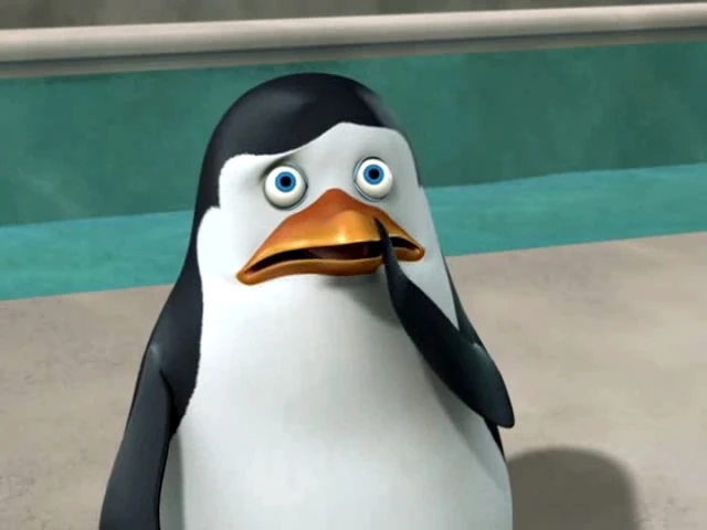 Die Pinguine Aus Madagascar Das Rote Eichhörnchen