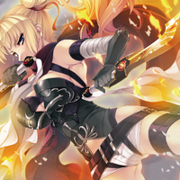 Get Wallpaper Lord Marksman Arc Madan No Ou To Vanadis Wiki Fandom For iPhone
