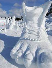SnowFoot