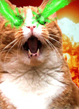Cat Attack