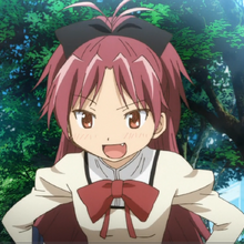 Kyoko Sakura The Puella Magi Wiki Fandom