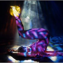 Confessions On A Dance Floor Photoshoot Madonnapedia Fandom