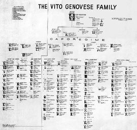 Genovese chart