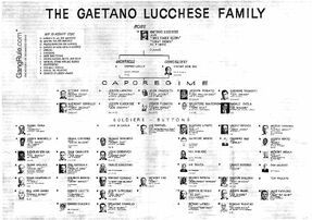 Lucchese chart