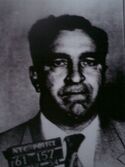 Tommy.Greco