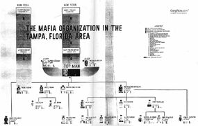 Tampa chart