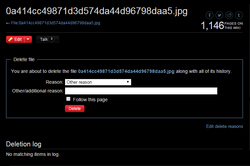 Admin - Delete Image