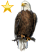 Item baldeaglegold 02