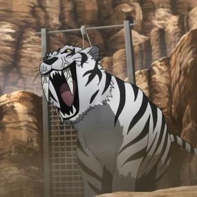 Tigre Dientes de Sable Maurenio | Wiki Magi | FANDOM