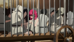 Slaves
