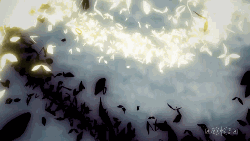 Rukh Blanco y Oscuro