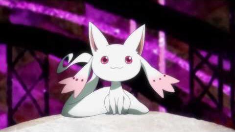 Tv Anime Magia Record English Wiki Fandom