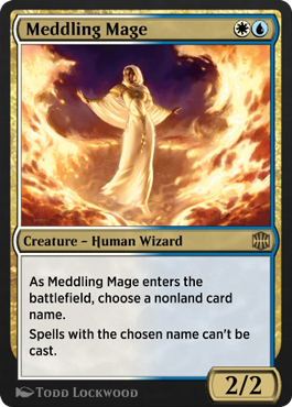 Meddling Mage