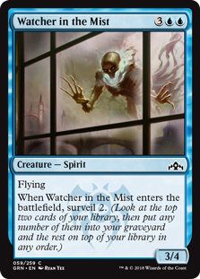 Watcher in the Mist