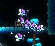 Ice Fairies