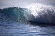 Waves