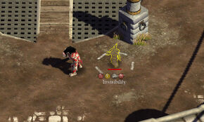 Invisibility
