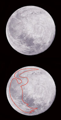 Luna d'argento con airone