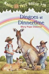 Dingoes2