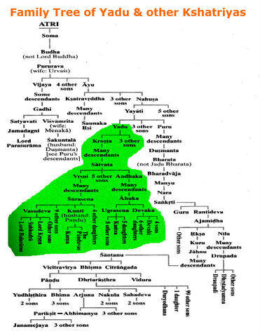 Image - Yadu-Family-Tree.jpg | Mahabharata Wiki | FANDOM powered by Wikia