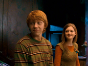 Ginny5rv2