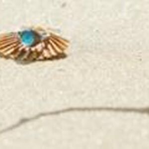 Moon Rings Mako Mermaids Wiki Fandom