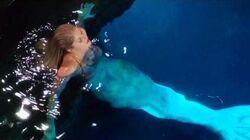 Mako Mermaids Wiki Fandom