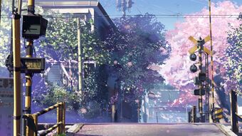 5 Centimeters Per Second