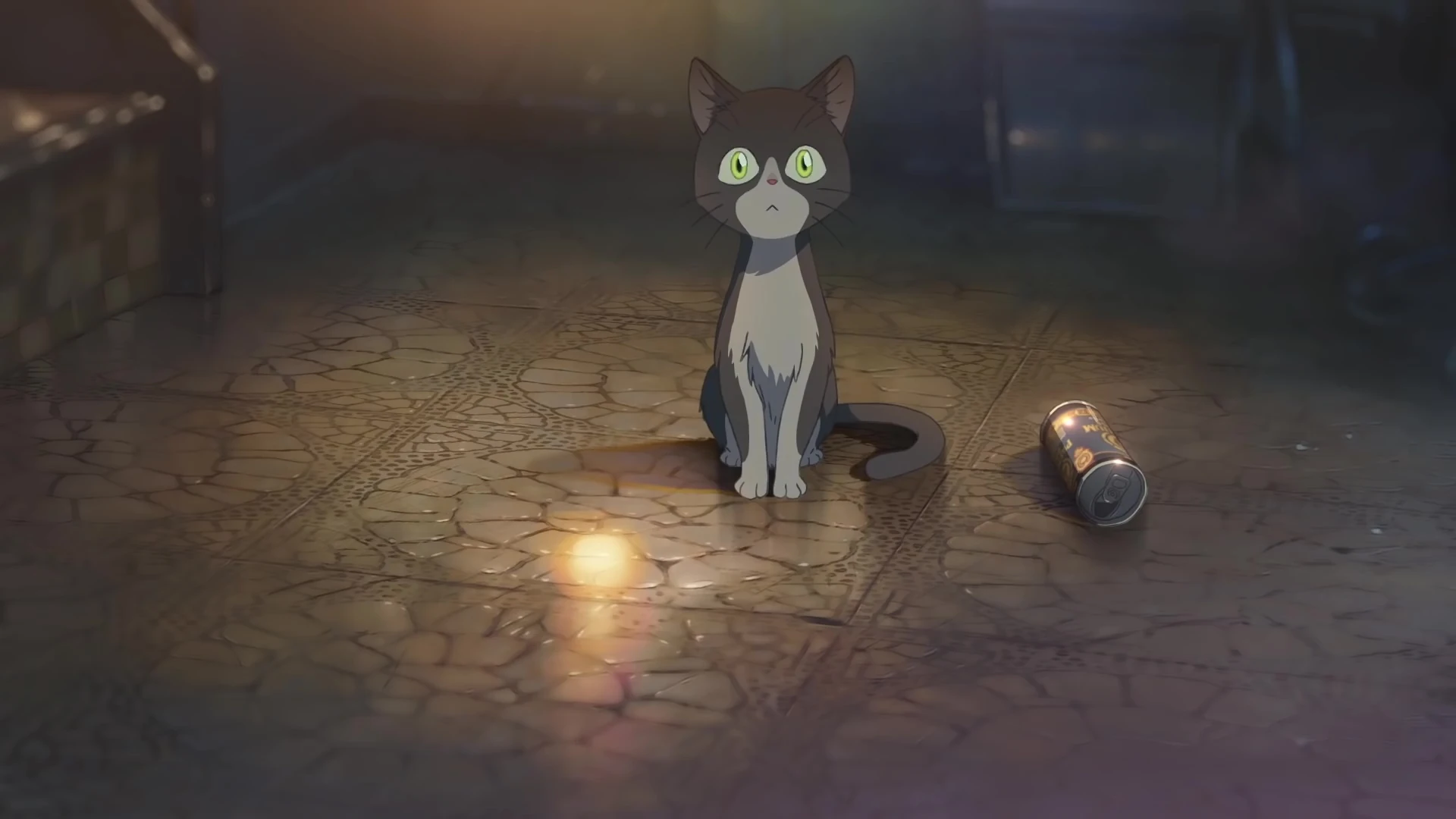 Shin Kai At Amazon Amazon Official Site