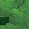 Imagegreen