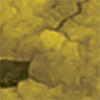 Imagegold