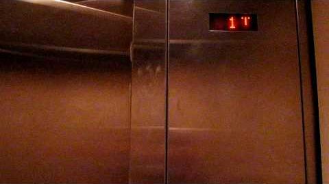 Video Montgomery Kone Hydraulic Elevator In Lord Taylor King