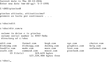 Pizelun payload1