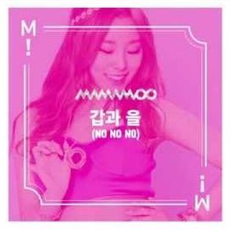 Pink Funky Mamamoo Wiki Fandom