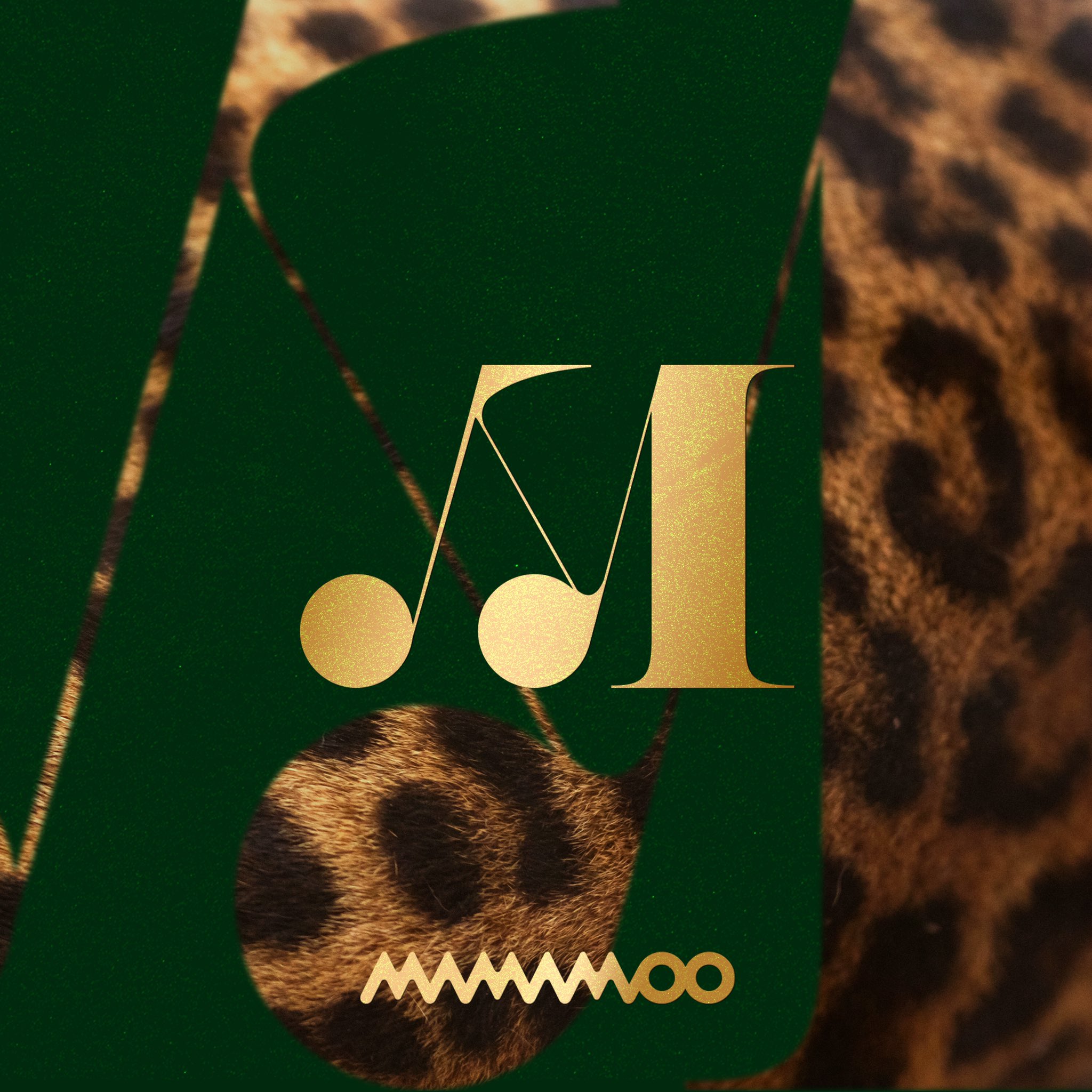 TRAVEL | MAMAMOO Wiki | Fandom
