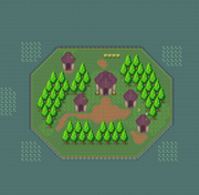 Turtle Island